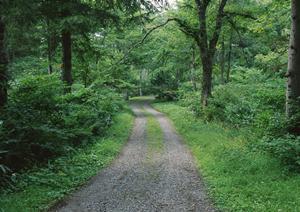 新宿にあるメンタルクリニックです