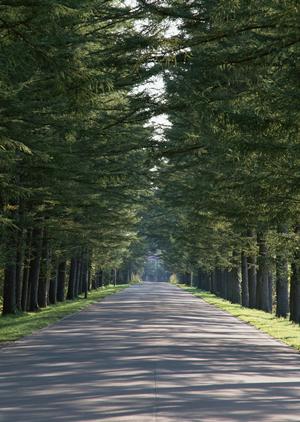相続手続きの完全ガイド：浜松市で知っておくべきポイントと専門家の選び方